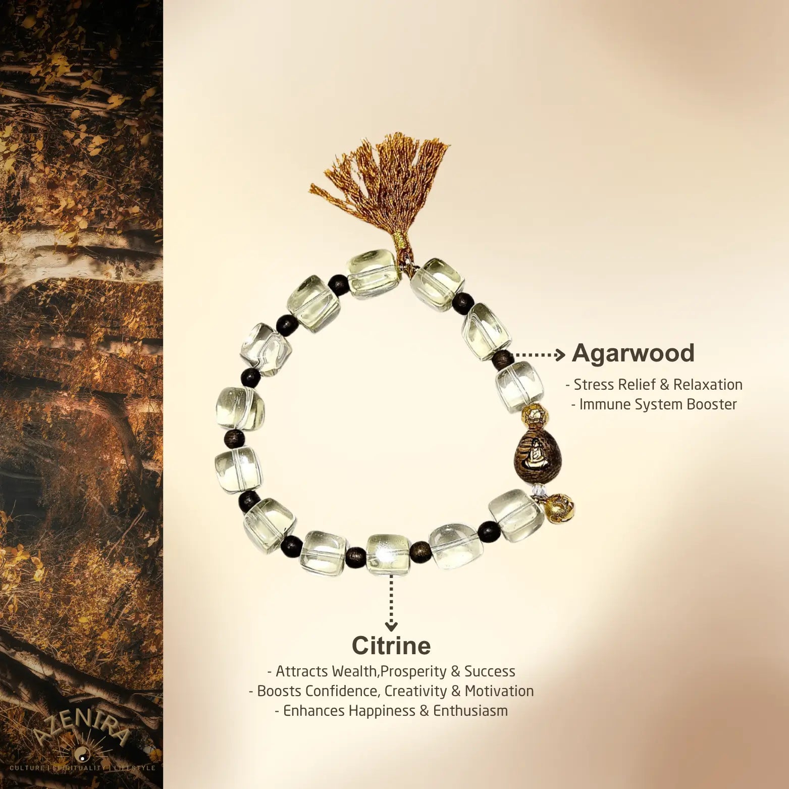 All Crystal Intentions of 9mm Citrine & Agarwood Bracelet with Invisible Buddha and Coin Charm